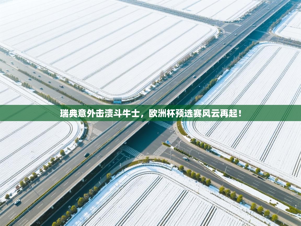 瑞典意外击溃斗牛士,欧洲杯预选赛风云再起! 第1张